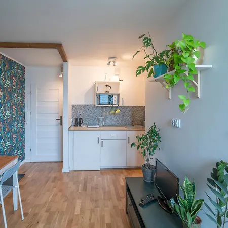 In The Center Of Apartment *